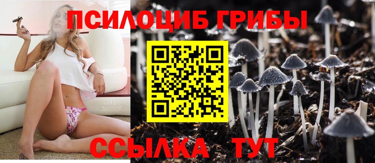 Псилоцибиновые грибы ЛСД Новочебоксарск