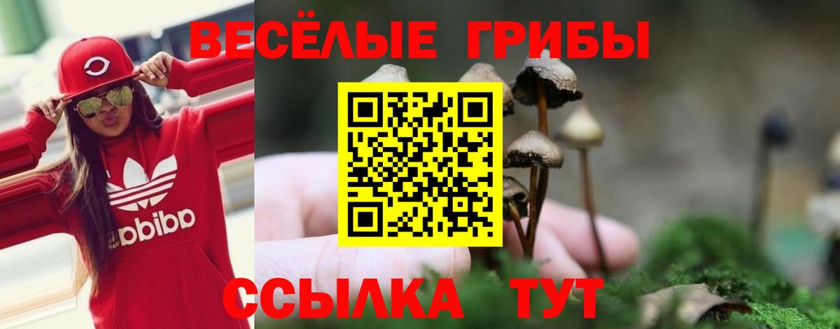 цена наркотик  Галлюциногенные грибы прущие грибы  Вход с VPN  Новочебоксарск 